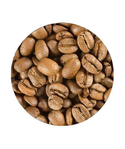 بن فاخر فاتح فلة
