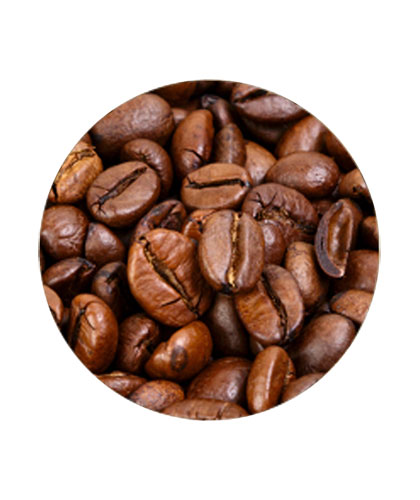 بن فاخر وسط فلة
