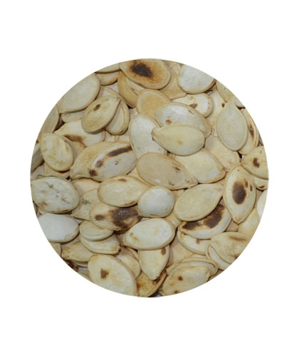 قرع جامبو مقمر فله