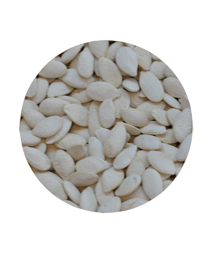 قرع جامبو مالح فله
