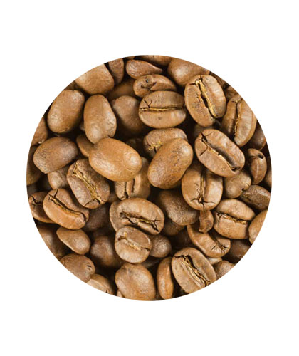 بن فاتح فلة
