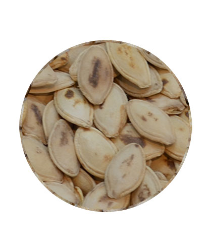 قرع سوبر مقمر فله
