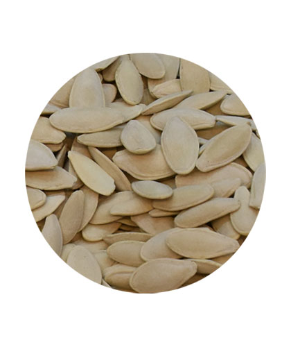 حب شمام مالح فله 
