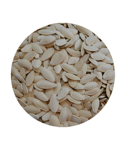 قرع سوبر مالح فله
