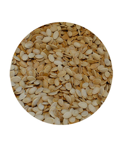 حب مميز فله
