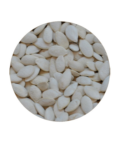 قرع جامبو بدون ملح
