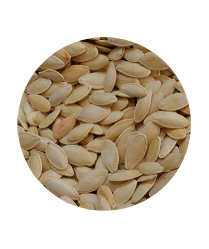 قرع سوبر بدون ملح فله
